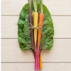 Tricolor Heirloom Carrots