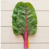 Rainbow Swiss Chard