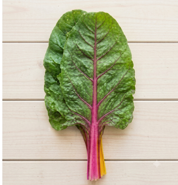 Rainbow Swiss Chard