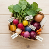 Vibrant Radish & Onion Basket