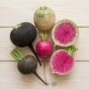 Crisp Heirloom Radish Varieties