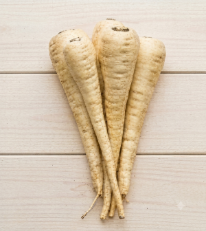 Parsnip Roots