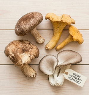 Gemini_Generated_Image_cxzgedcxzgedcxzg Wild Artisan Mushroom Mix