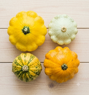 Sun-Gold Pattypan Squash