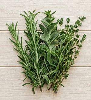 Gemini_Generated_Image_djg3uddjg3uddjg3 Fresh Rosemary & Thyme Bundle