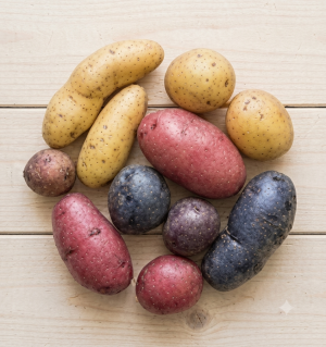Gemini_Generated_Image_okfv88okfv88okfv Medley Fingerling Potatoes